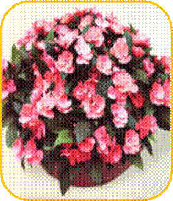 http://doshvozrast.ru/images/roditeli08/image008.jpg