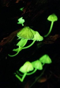 ����� ������������ ����� � ������