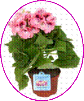 http://doshvozrast.ru/images/roditeli08/image010.jpg