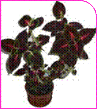 http://doshvozrast.ru/images/roditeli08/image014.jpg