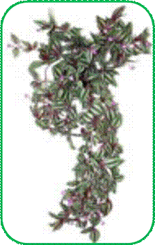 http://doshvozrast.ru/images/roditeli08/image015.jpg