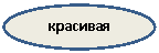 ����: ��������