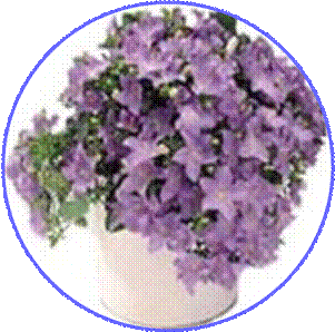 http://doshvozrast.ru/images/roditeli08/image019.jpg