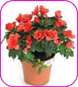 http://doshvozrast.ru/images/roditeli08/image021.jpg