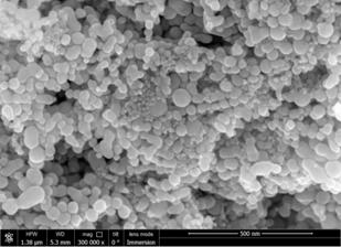 ��������: I:\������\����\������ 2\������������\Ni(nano) +Ni(50mkm)\Ni_����+50���\Ni(nano)_8.jpg