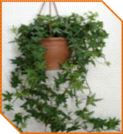 http://doshvozrast.ru/images/roditeli08/image024.jpg