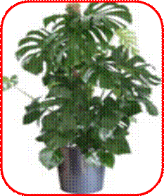 http://doshvozrast.ru/images/roditeli08/image027.jpg