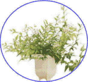 http://doshvozrast.ru/images/roditeli08/image028.jpg