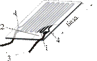 ts