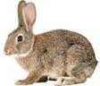 http://t3.gstatic.com/images?q=tbn:ANd9GcSg7o6P1xvOrHP2DkmatgA22V3AOtH_h21c44pC3_Pjt1zm1l-y