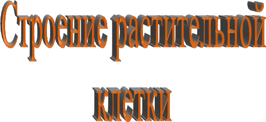 Строение растительной
клетки