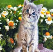 ��������: C:\Users\user\Desktop\kartinki-pro-kotov-1.jpg