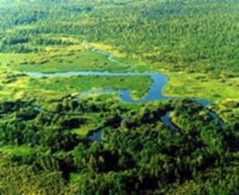 uviazkovoye_lake