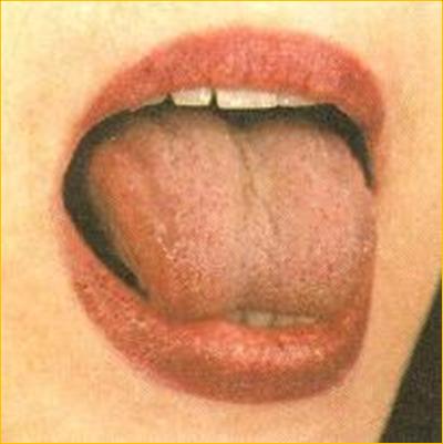 fhnbrekzwbjyyfz ubvyfcnbrf (ujhrf)