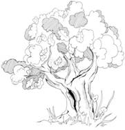 C:\Users\Юлия\Desktop\500_F_28563663_9wC7nMFVHNjo8BlviBo8IlMOOn74fMJe.jpg