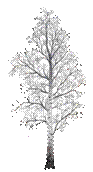 C:\Users\Юлия\Desktop\detached-tree-birch-leaves-illustrations-37743753.png