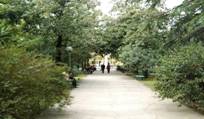 0006-010-Otpravilis-guljat-v-park
