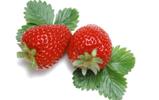 Strawberry_photos_Fresh_Strawberry_Picture_F045022