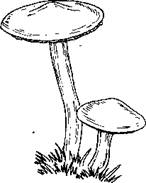 5-71
