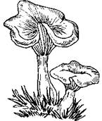 5-74