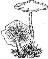5-75