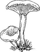 5-77