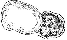 5-78