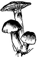 5-79