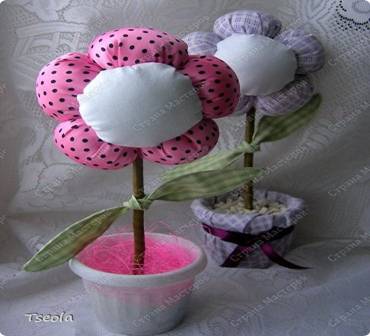 Бонсай