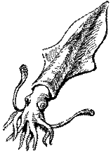 C:\Users\�.�����\Desktop\29.png