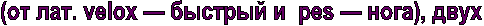 (�� ���. velox � ������� � pes � ����), ���� 