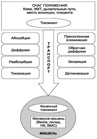 ��������: http://www.studmedlib.ru/cgi-bin/mb4?hide_Cookie=yes&usr_data=gd-image%28doc,ISBN9785970406137-A004,pic_0064.jpg,-1,,00000000,%29