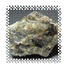 labrador_2.jpg