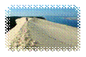 e3a463562f.jpg