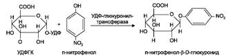 ��������: http://www.studmedlib.ru/cgi-bin/mb4?hide_Cookie=yes&usr_data=gd-image%28doc,ISBN9785970406137-A005,pic_0136.png,-1,,00000000,%29