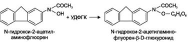 ��������: http://www.studmedlib.ru/cgi-bin/mb4?hide_Cookie=yes&usr_data=gd-image%28doc,ISBN9785970406137-A005,pic_0139.jpg,-1,,00000000,%29