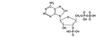 ��������: http://www.studmedlib.ru/cgi-bin/mb4?hide_Cookie=yes&usr_data=gd-image%28doc,ISBN9785970406137-A005,pic_0142.png,-1,,00000000,%29