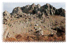 o001.jpg
