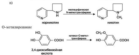 ��������: http://www.studmedlib.ru/cgi-bin/mb4?hide_Cookie=yes&usr_data=gd-image%28doc,ISBN9785970406137-A005,pic_0143.jpg,-1,,00000000,%29