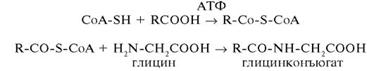 ��������: http://www.studmedlib.ru/cgi-bin/mb4?hide_Cookie=yes&usr_data=gd-image%28doc,ISBN9785970406137-A005,pic_0147.jpg,-1,,00000000,%29