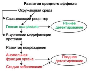 ��������: http://www.studmedlib.ru/cgi-bin/mb4?hide_Cookie=yes&usr_data=gd-image%28doc,ISBN9785970406137-A004,pic_0073.jpg,-1,,00000000,%29