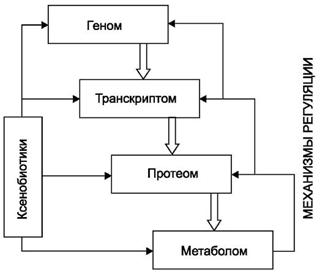 ��������: http://www.studmedlib.ru/cgi-bin/mb4?hide_Cookie=yes&usr_data=gd-image%28doc,ISBN9785970406137-A004,pic_0078.jpg,-1,,00000000,%29