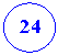 ����: 24