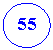 Овал: 55