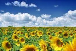 http://bukvi.ru/wp-content/uploads/2014/08/081114_1205_1.png