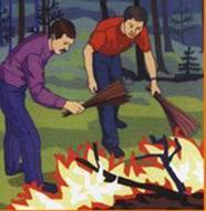 http://klgd.ru/defense/poghar_les2.jpg