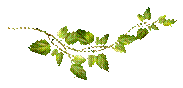 http://s2.<a title=