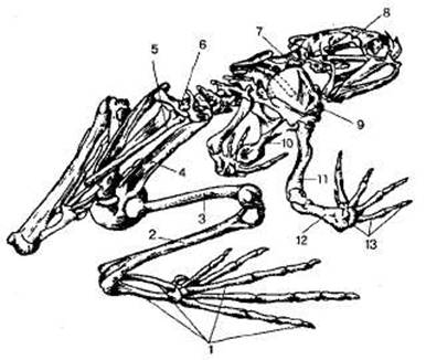 http://sbio.info/images/tmp55-55.jpg