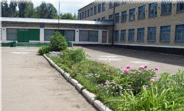 SDC11607.JPG
