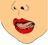 k4